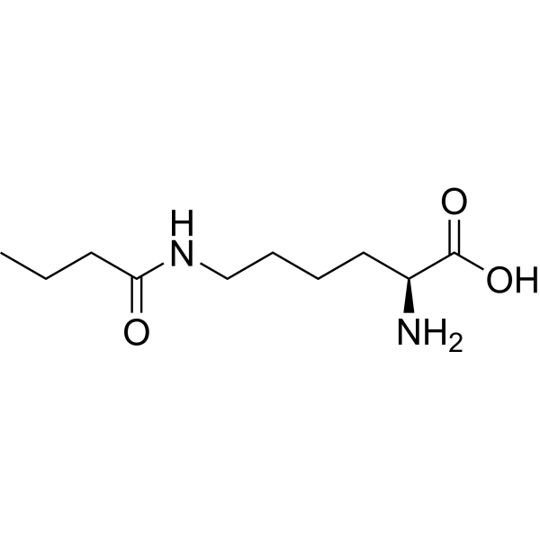 N6-Butyryl-L-lysine 75396-30-4